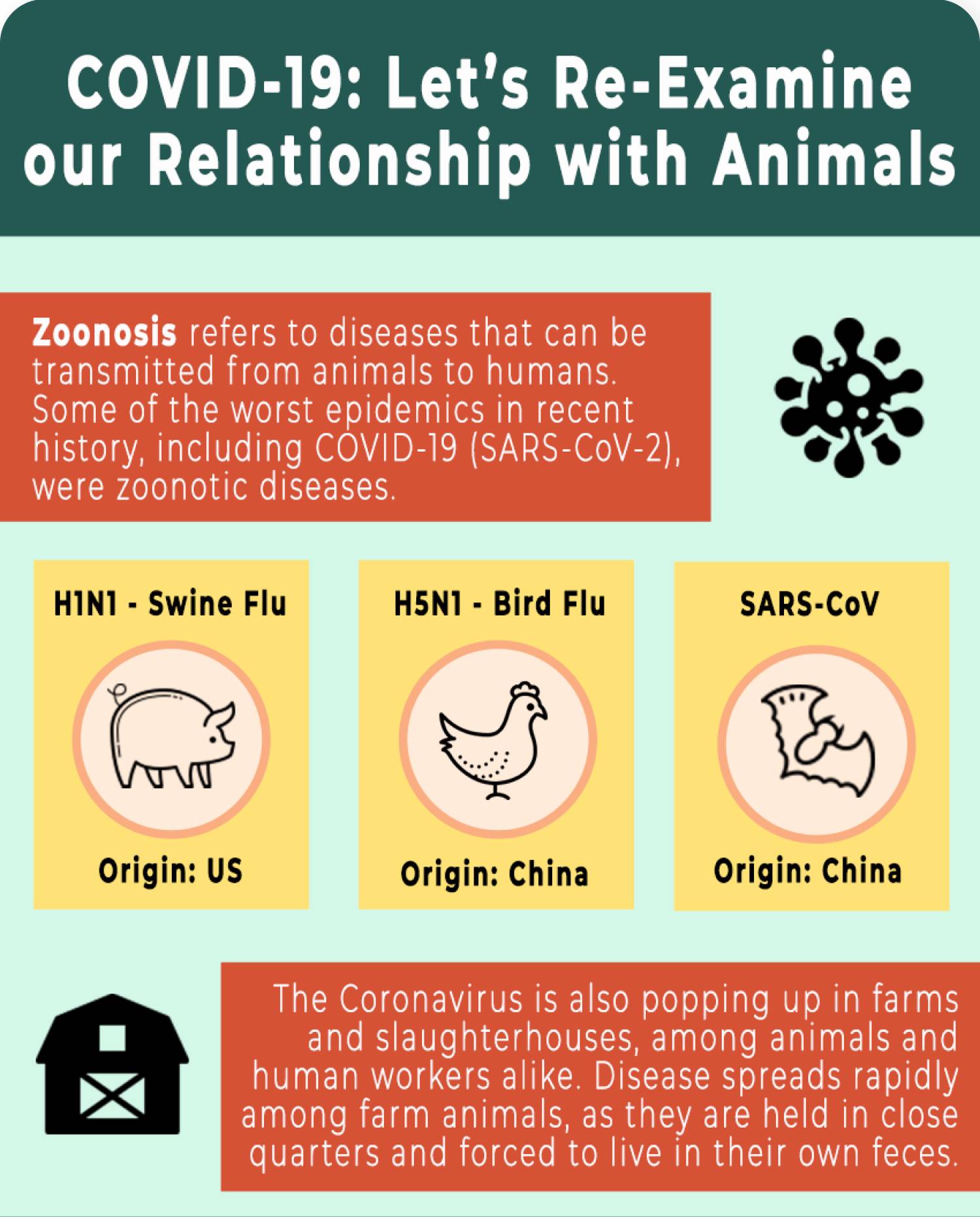 preview image of covid-19 infographic poster